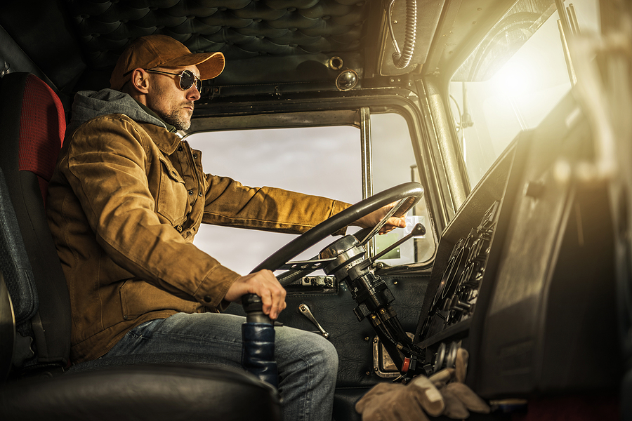 Truck driver behind the wheel